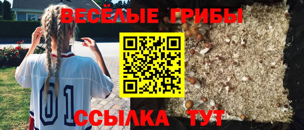 Лобня  Галлюциногенные грибы GOLDEN TEACHER  Галлюциногенные грибы Magic Shrooms  Вход с VPN 